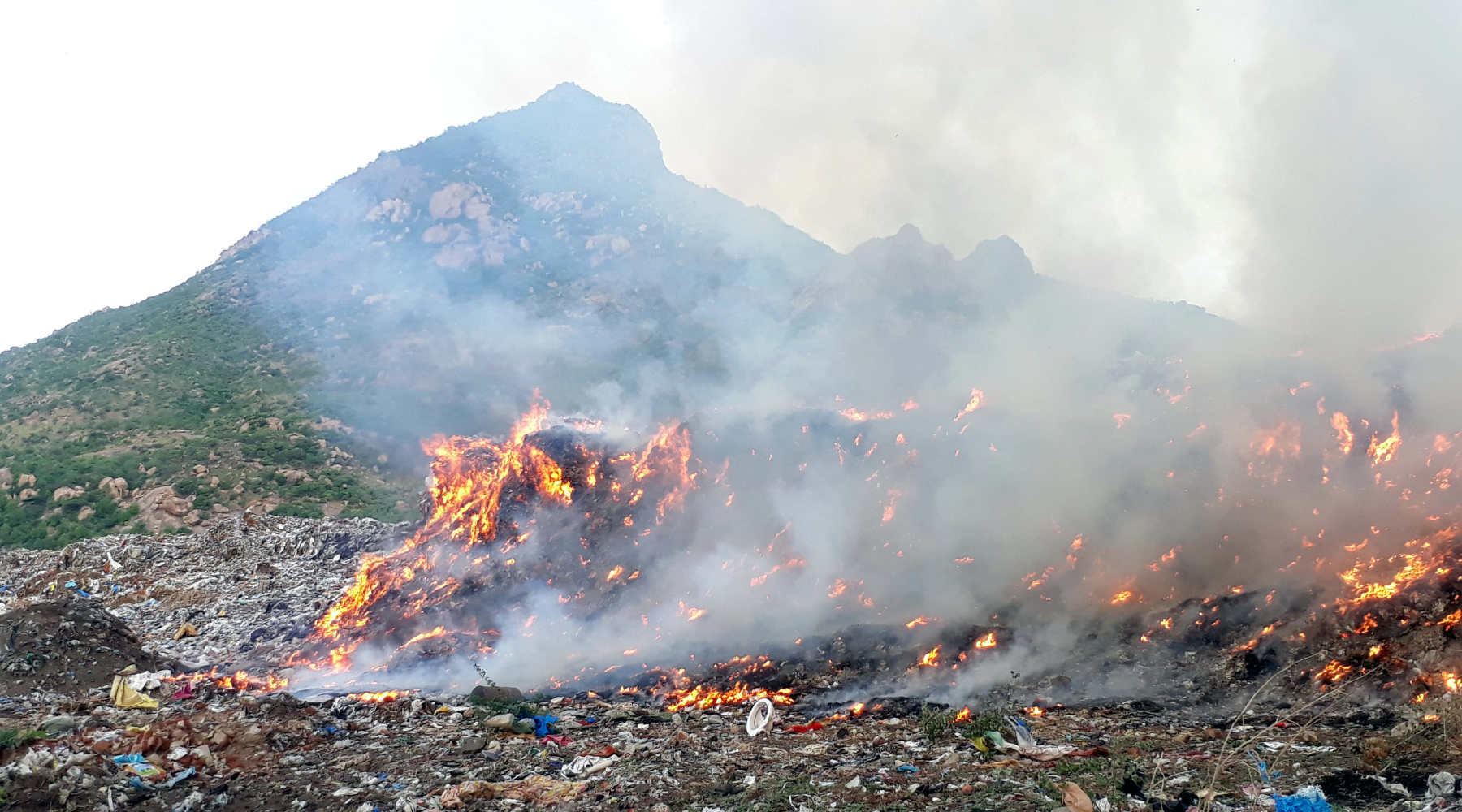 Second-Hand-Luxus: Rebellion oder neuer Standard?