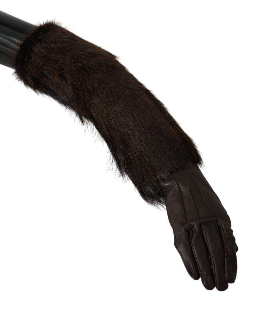 Dolce & Gabbana Elegante ellbogenlange Lederhandschuhe - Léoré